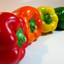 bell pepper buy on the wholesale