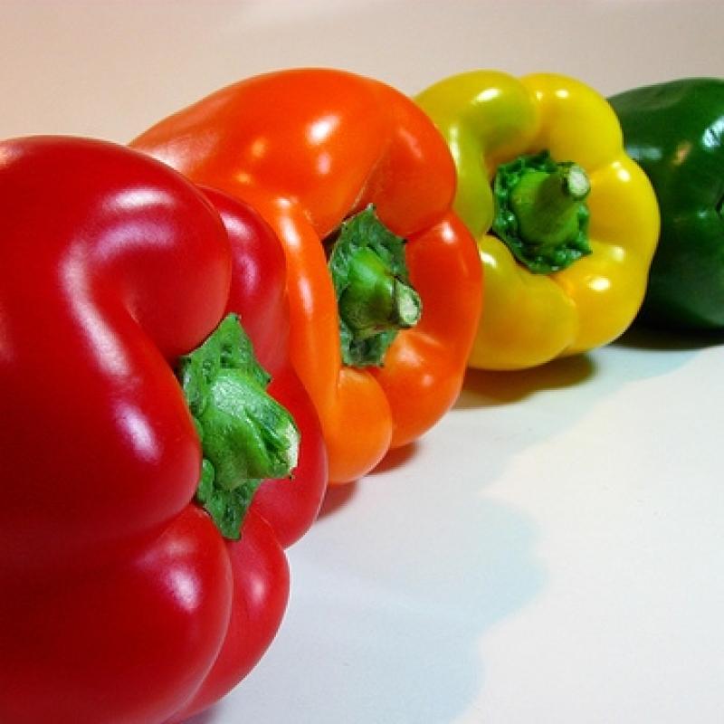 bell pepper buy wholesale - company sgafood | Iran