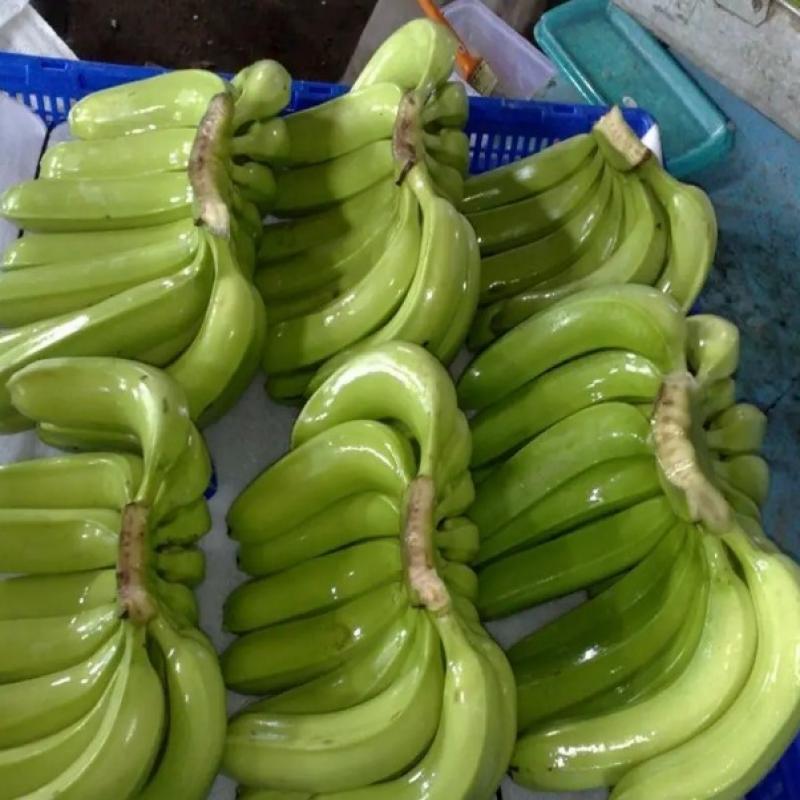 cavendish banana fresh and green buy wholesale - company Thynel GTM AB | Sweden