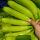 cavendish banana fresh and green купить оптом - компания Thynel GTM AB | Швеция