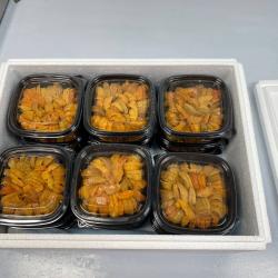 Sea Urchins Roe buy on the wholesale