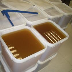 Мед и пчелопродукты от производителя buy on the wholesale
