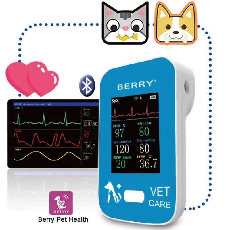 AM6200 Veterinary Patient Monitor buy wholesale - company Shanghai Berry Electronic Tech Co.,Ltd. | China