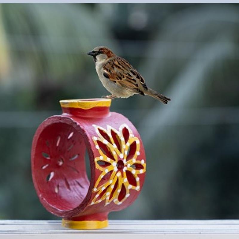 Terracotta Roof/Balcony Bird Feeder Manufacturer buy wholesale - company THe Handicraft Stores | India