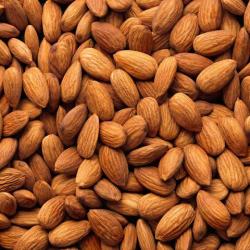 Almond Nuts buy on the wholesale