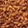 Almond Nuts buy wholesale - company Alif Traders | India