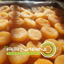 DRIED APRICOTS WHOLESALE / СУШЕНЫЕ АБРИКОСЫ buy on the wholesale