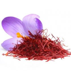 Saffron buy on the wholesale
