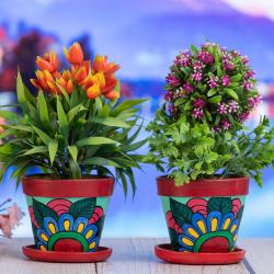 Handpainted Terracotta Orchid Planter, Indoor Clay Planter Manufacturer Wholesaler Exporter buy on the wholesale