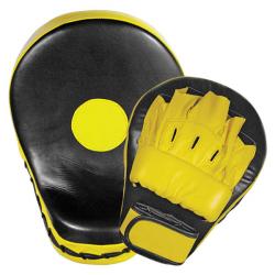 Boxing Focus Pads buy on the wholesale