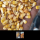 Yellow Corn Feed Grade – High-Quality Feed for Livestock buy wholesale - company TNS GLOBAL HOLDINGS | South Africa