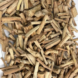 Premium Sandalwood – High-Quality Fragrance and Craft Material