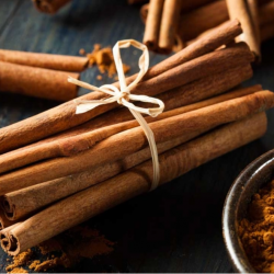 Premium Cinnamon – Top-Quality Spice Exported Worldwide buy on the wholesale