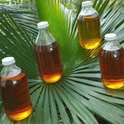 CP 10 Refined Palm Oil – Premium RBD Palm Olein for Frying and Blending