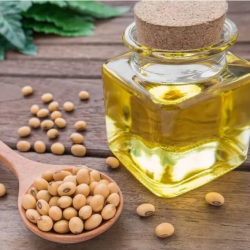 Soybean Cooking Oil in Wholesale – Premium Quality for Multiple Uses