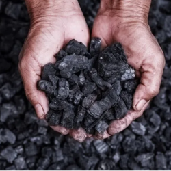 Natural Coal from Indonesia – High-Quality Coal Available for Bulk Orders купить оптом