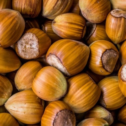 Natural Taste Quality Blanched Hazelnuts – Premium Hazelnuts at Competitive Prices купить оптом