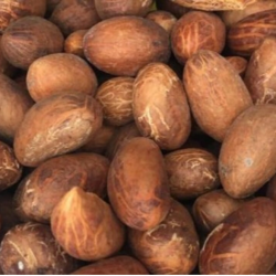 Bitter Kola Nuts from Africa – Premium Quality Nuts from Cameroon