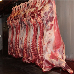 Halal Fresh/Frozen Goat, Lamb, and Sheep Meat/Carcass – Premium Quality from the Netherlands buy on the wholesale