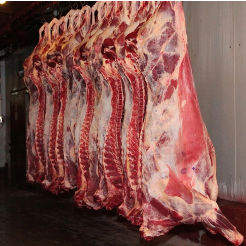 Halal Fresh/Frozen Goat, Lamb, and Sheep Meat/Carcass – Premium Quality from the Netherlands buy wholesale - company TNS GLOBAL HOLDINGS | South Africa