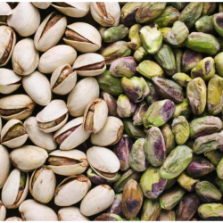 Premium Blanched Pistachio Nuts – Freshness and Quality You Can Trust buy on the wholesale