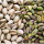 Premium Blanched Pistachio Nuts – Freshness and Quality You Can Trust buy wholesale - company TNS GLOBAL HOLDINGS | South Africa