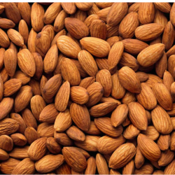 ​Natural Almond Nuts – Pure and Healthy Snacking Option buy on the wholesale