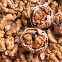 Premium Walnuts for Sale – Nutritious and Delicious купить оптом