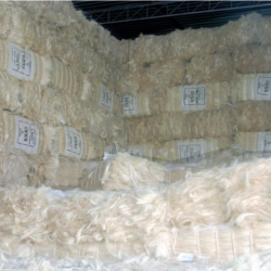 Sisal Fibre for Sale – Durable and Versatile Natural Fiber buy on the wholesale