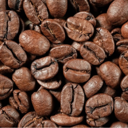 Premium Robusta Coffee Beans for Sale – Bold and Rich Flavor