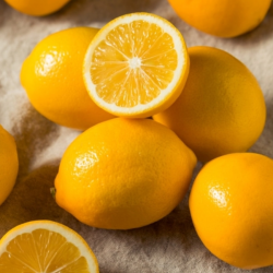 Quality Lemons for Sale – Fresh, Juicy, and Versatile