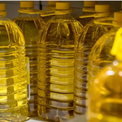 Food-Grade Canola Oil for Sale – Safe, Versatile, and Nutrient-Rich