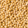 Premium Soya Beans Grains for Sale – Locally Grown in Nigeria buy wholesale - company TNS GLOBAL HOLDINGS | South Africa