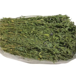 Premium Quality Green Hay for Sale – Ideal Animal Feeding Stuff купить оптом