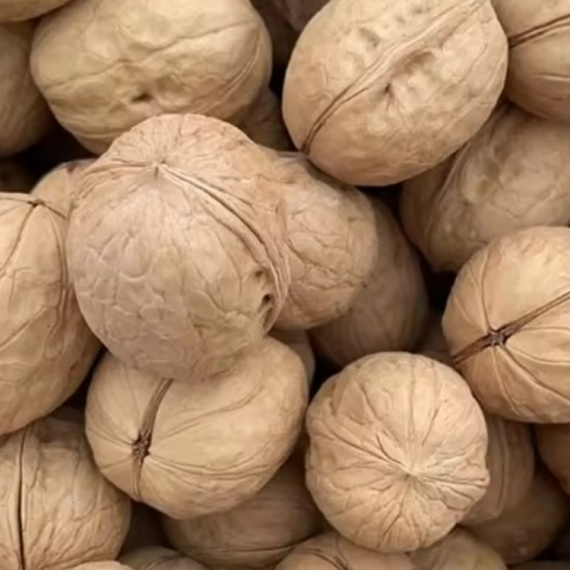 Premium Xinjiang 185 Walnuts – Raw Dried Nuts from China купить оптом - компания TNS GLOBAL HOLDINGS | Южная Африка