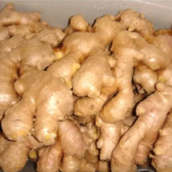 Premium-Quality Ginger – Available in Dried or Whole Form