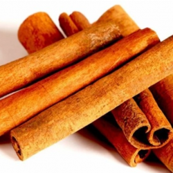 Absolute Fresh Quality Cinnamon – Premium Spice for Export