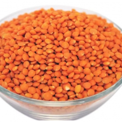 Fresh Whole/Split Lentils – Premium Quality for Export купить оптом