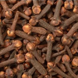 Absolute Fresh Quality Cloves – Premium Spice for Export buy on the wholesale