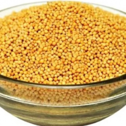 Fresh Quality Mustard Seeds (Black/White) – Premium Grade for Export купить оптом