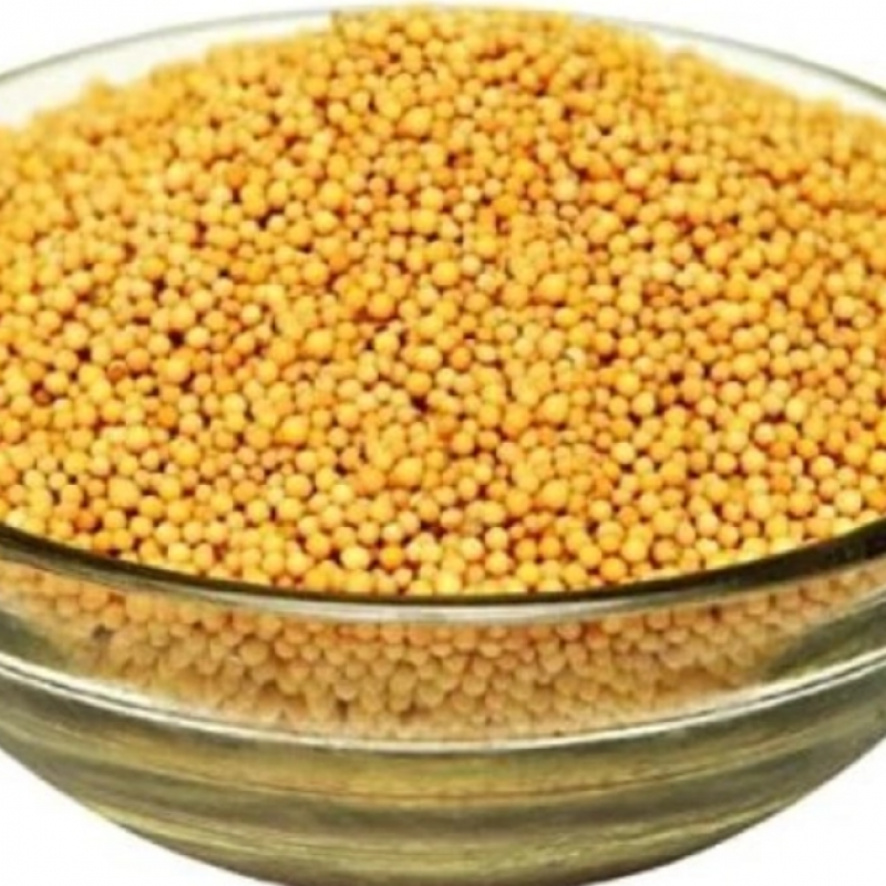 Fresh Quality Mustard Seeds (Black/White) – Premium Grade for Export buy wholesale - company TNS GLOBAL HOLDINGS | South Africa