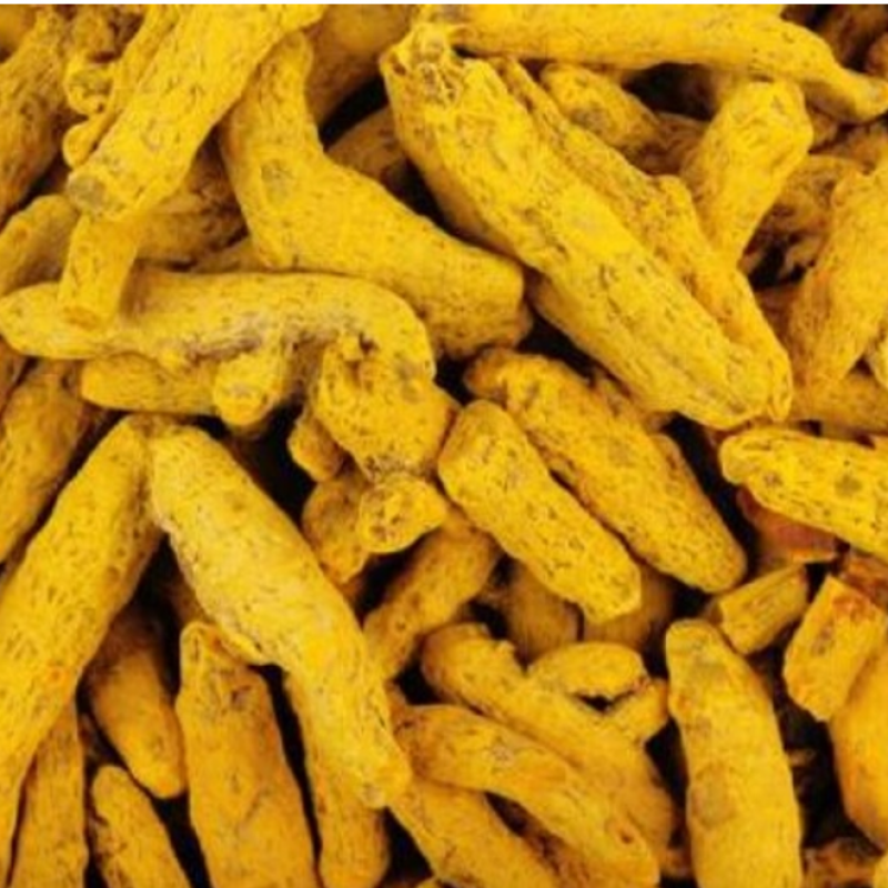 Absolute Fresh Quality Turmeric Finger/Powder – Premium Grade for Export buy wholesale - company TNS GLOBAL HOLDINGS | South Africa