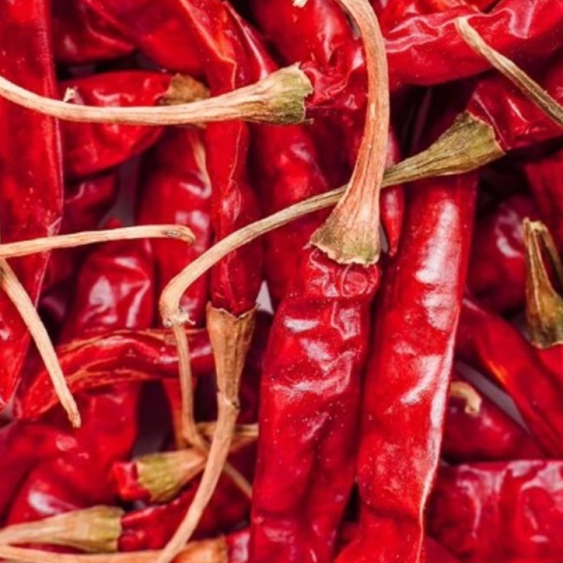 Premium Dry Red Chili – Spicing Up Global Markets купить оптом - компания TNS GLOBAL HOLDINGS | Южная Африка