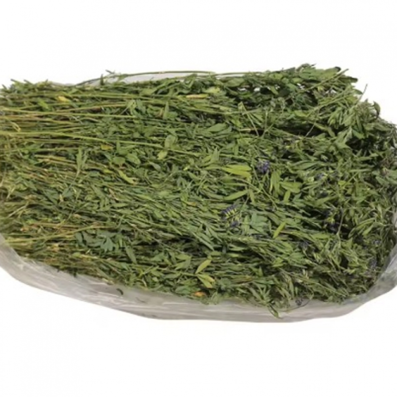 Premium Quality Green Hay – Ideal for Animal Feed купить оптом - компания TNS GLOBAL HOLDINGS | Южная Африка