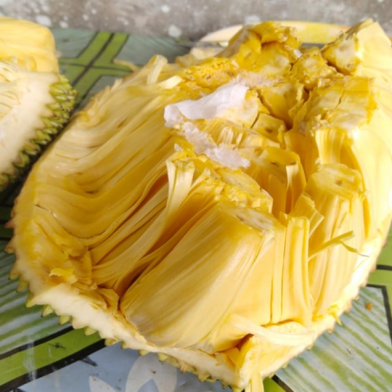 Honey Jackfruit – The Sweetest and Crunchiest Delight from Malaysia купить оптом - компания TNS GLOBAL HOLDINGS | Южная Африка