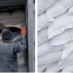 Premium Wheat Flour Available for Export - 1000 Tons Monthly