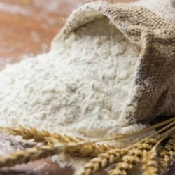 High-Quality Wheat Flour Type 650 - First Grade for Export