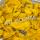 Dried mango buy wholesale - company ATL GLOBAL | Vietnam